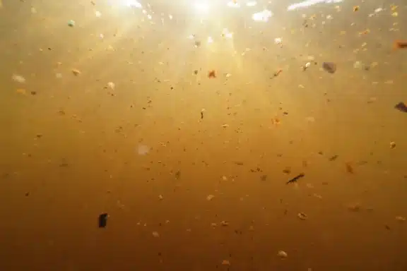 agua turbia para potabilizar agua