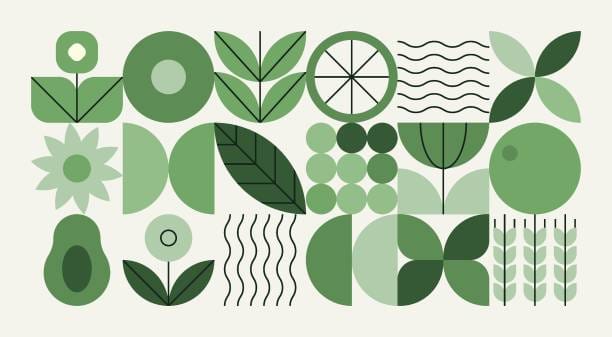 manualidades y DIY de supervivencia