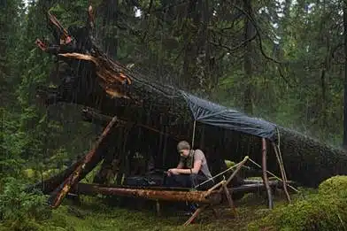 Refugio natural bajo un árbol caído