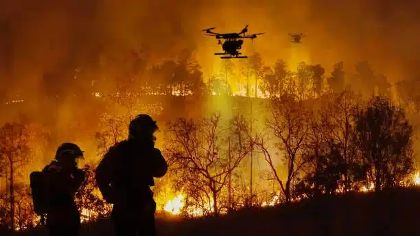 Los incendios forestales suelen ser más prolíferos en zonas de secano en verano (desastres naturales)