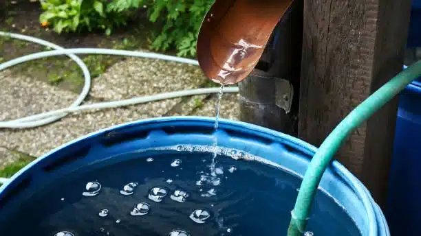 Sistema de recolección de agua DIY