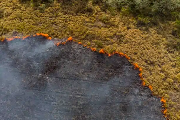incendio forestal