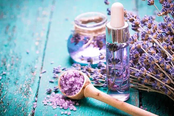 La Lavanda es un estupendo relajante y calmante de la ansiedad. plantas medicinales