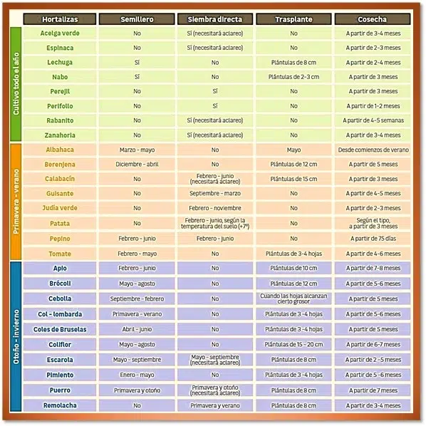 Qué plantar en tu huerto urbano