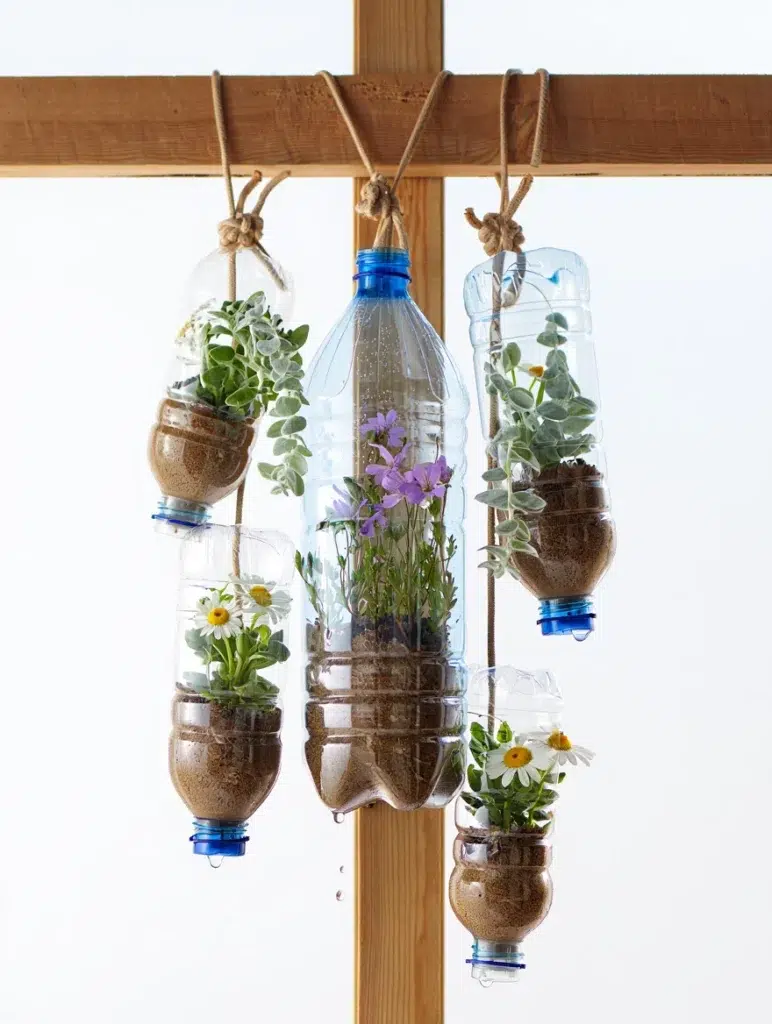 composición con botellas vertical y colgante