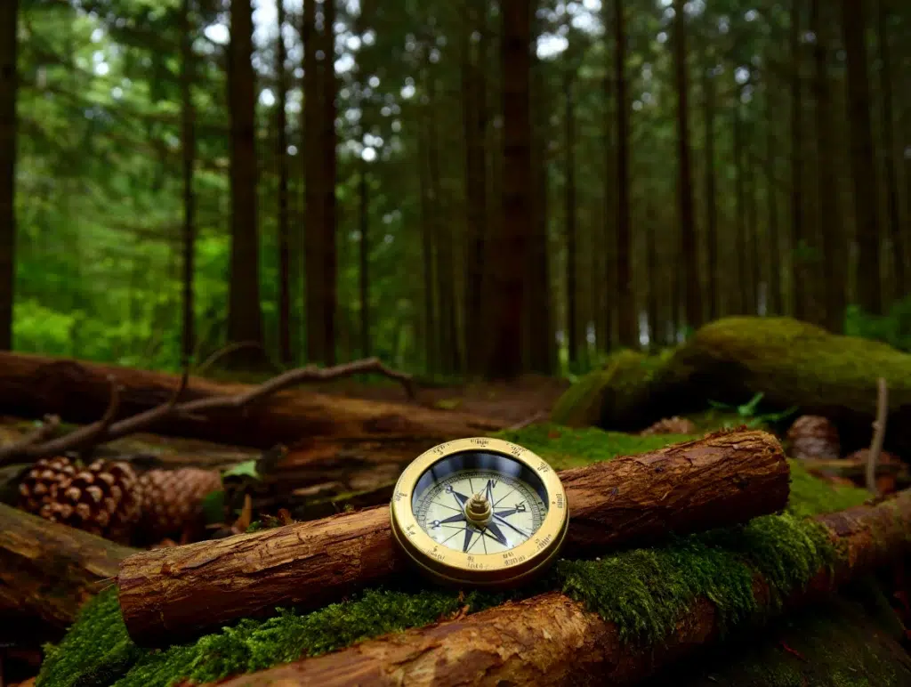 brújula en el bosque