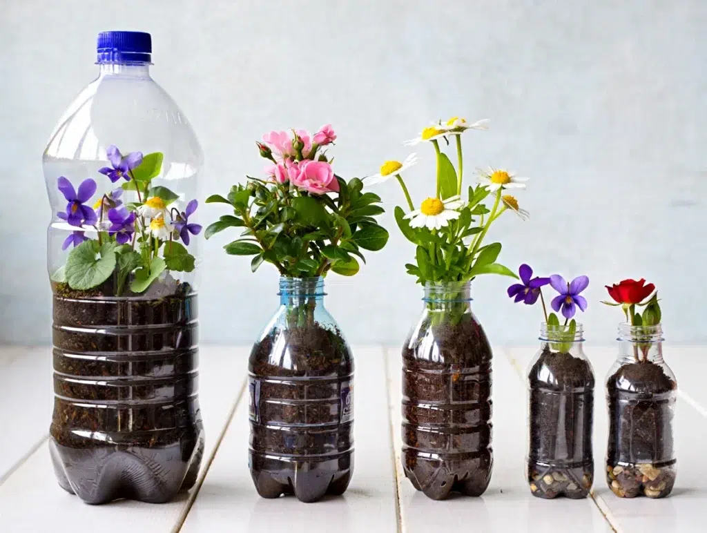 Puedes plantar todo tipo de plantas en botellas para crear tu mini huerto