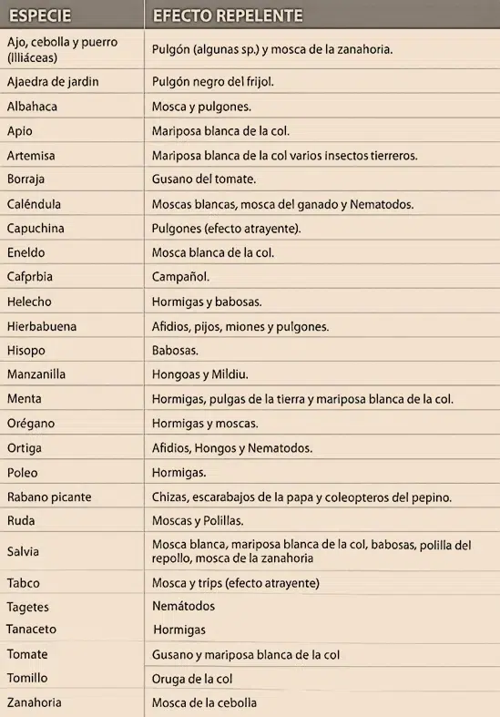 Especie de planta y el tipo de plaga que puede tener