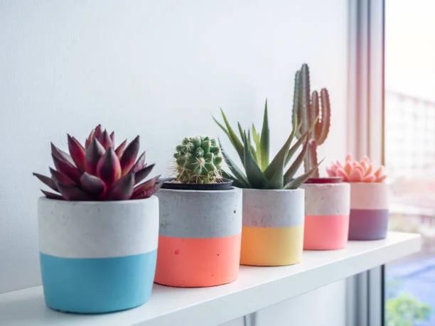 macetas artesanales de cemento