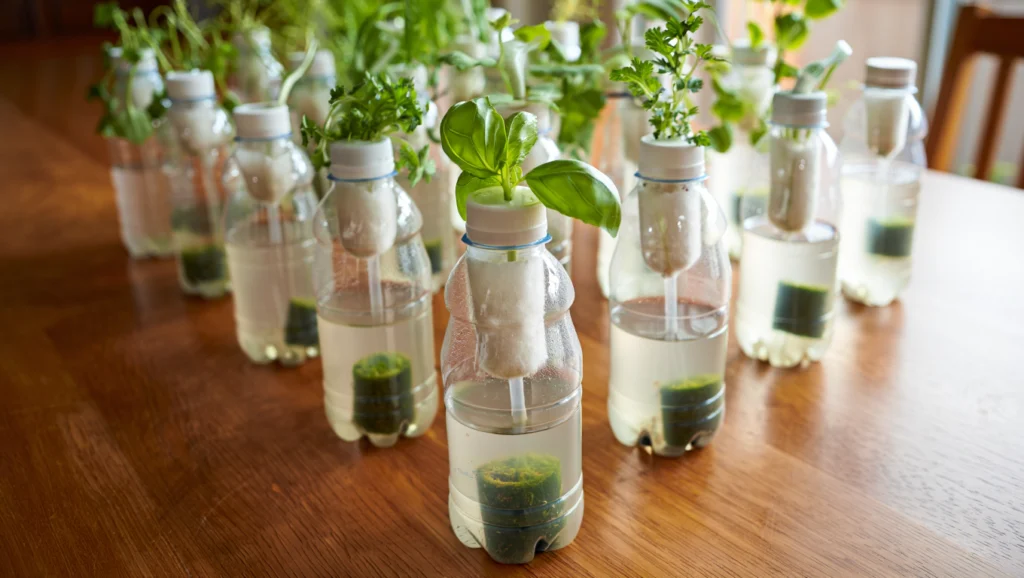 Sistema de hidroponía con elementos reciclados